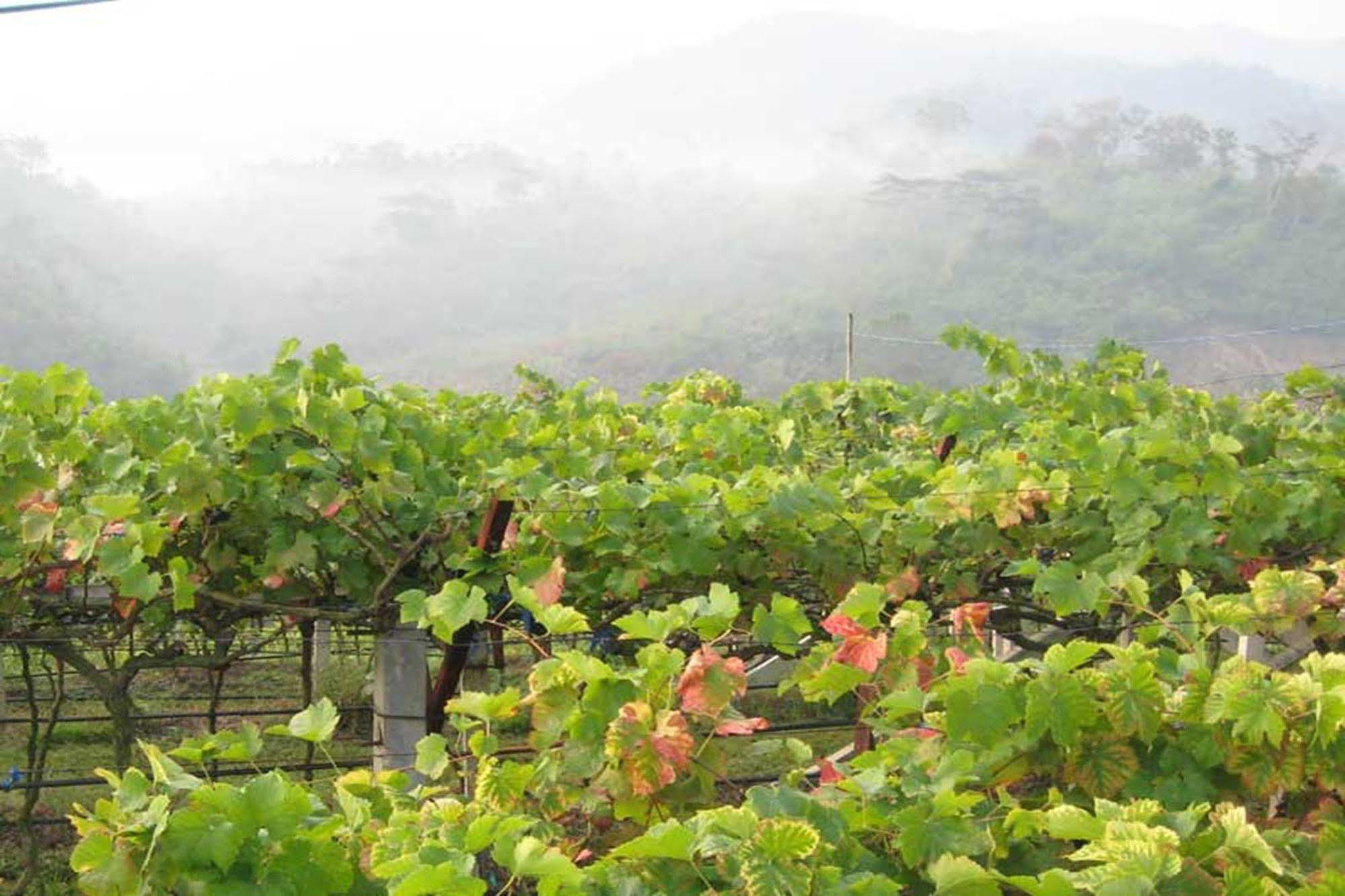 Chiang Rai Valley Resort @Doi Hom Fha Mae Chan Экстерьер фото